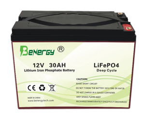 Lifepo4 Batterie 12V 30AH EV Batterie Solarbatterie RV Batterie